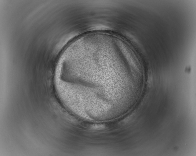 X0000112731313200909101441