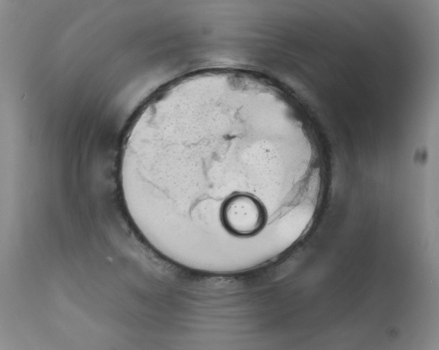 X0000112731314200909101441