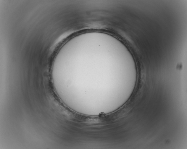 X0000112731315200909101441