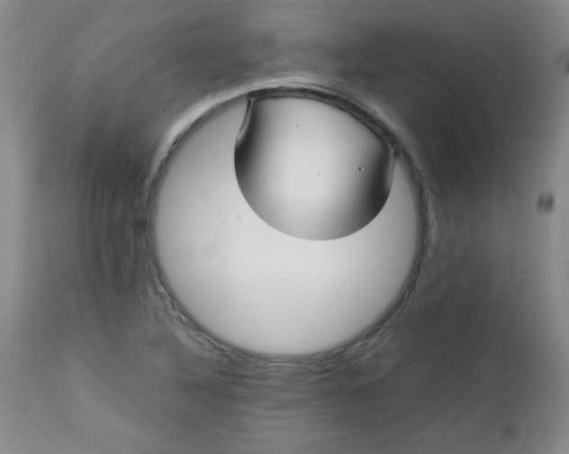 X0000112731316200909101441