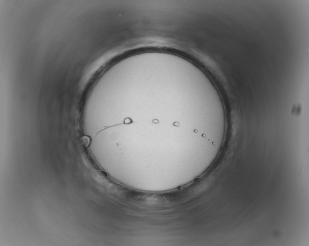 X0000112731318200909101442