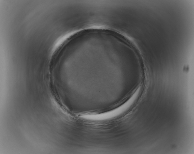 X0000112731319200909101442