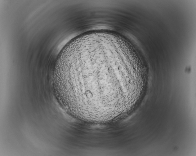 X0000112731321200909101442