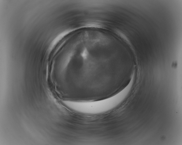 X0000112731323200909101442