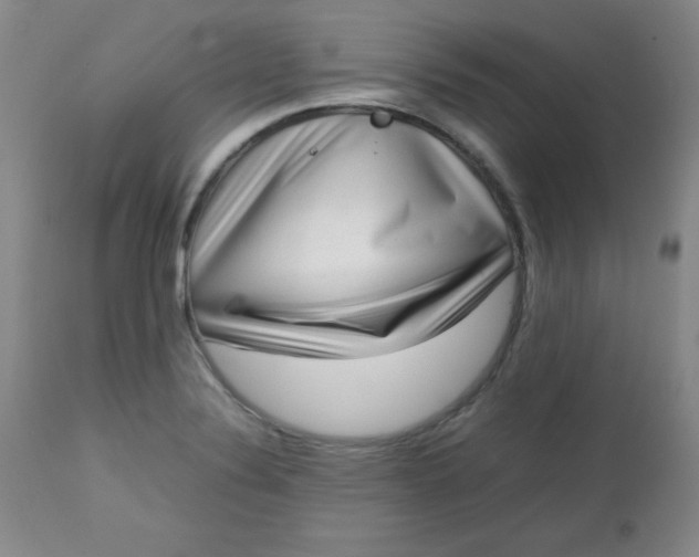 X0000112731324200909101442