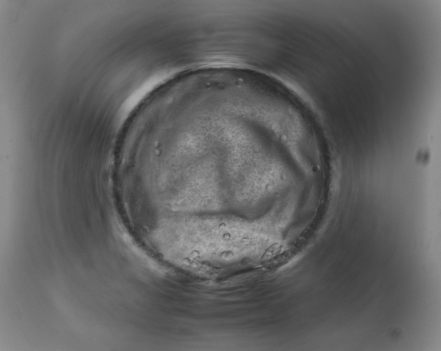 X0000112731325200909101442