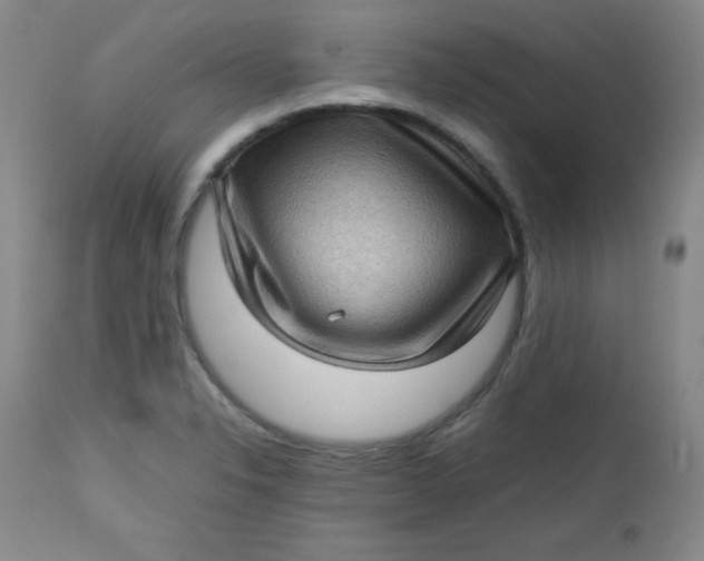 X0000112731326200909101442