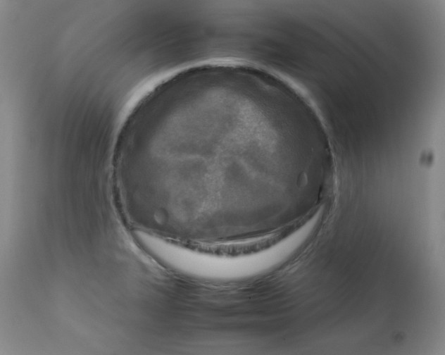 X0000112731327200909101442