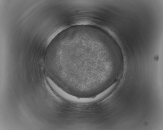 X0000112731329200909101442