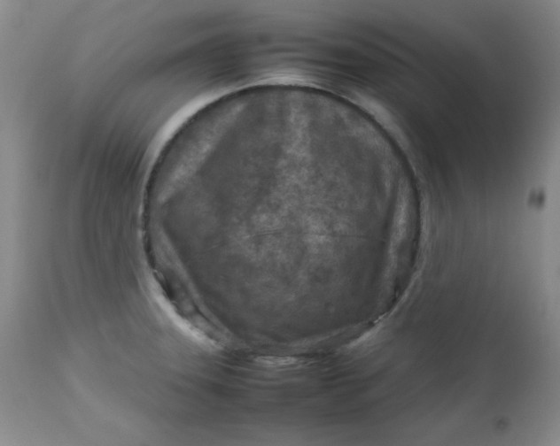 X0000112731331200909101442