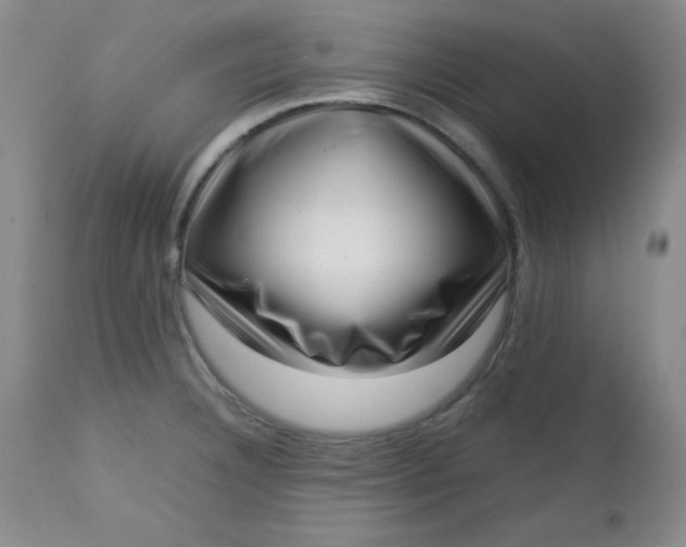 X0000112731332200909101442