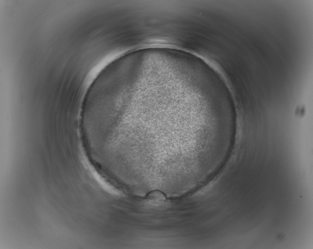 X0000112731333200909101442