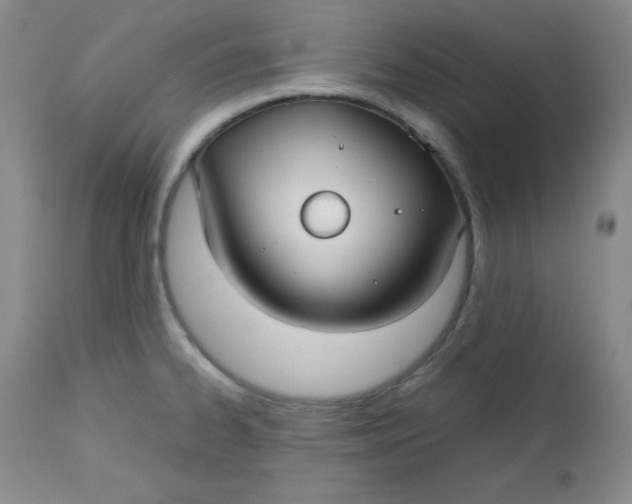 X0000112731334200909101442