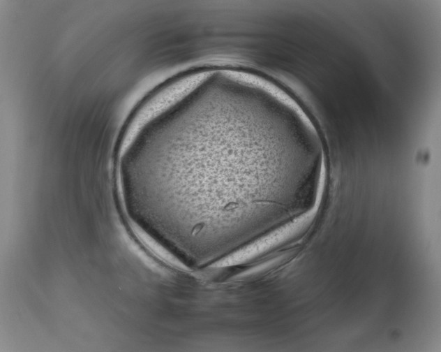 X0000112731335200909101442