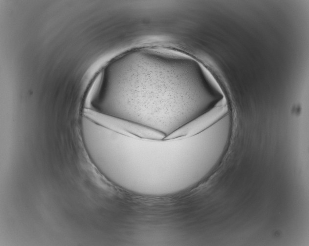 X0000112731336200909101442