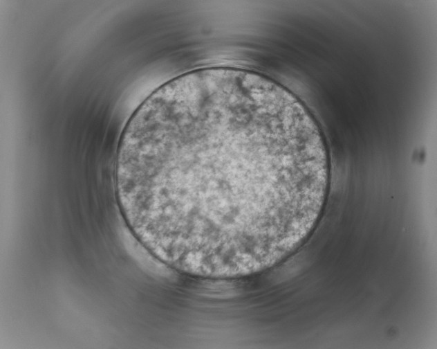 X0000112731338200909101442