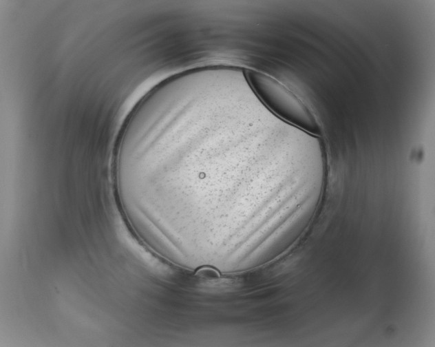 X0000112731339200909101442