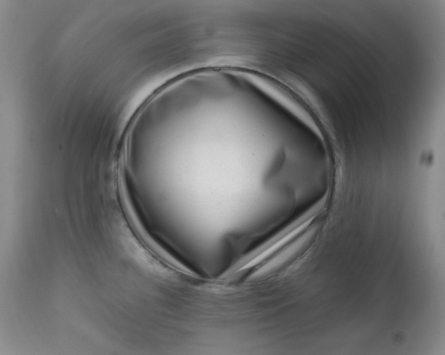 X0000112731340200909101442