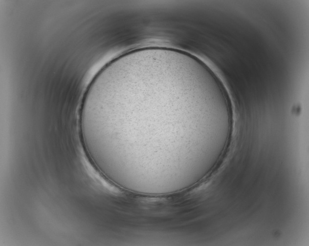 X0000112731341200909101442