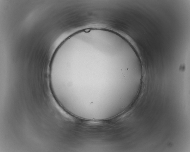 X0000112731343200909101442