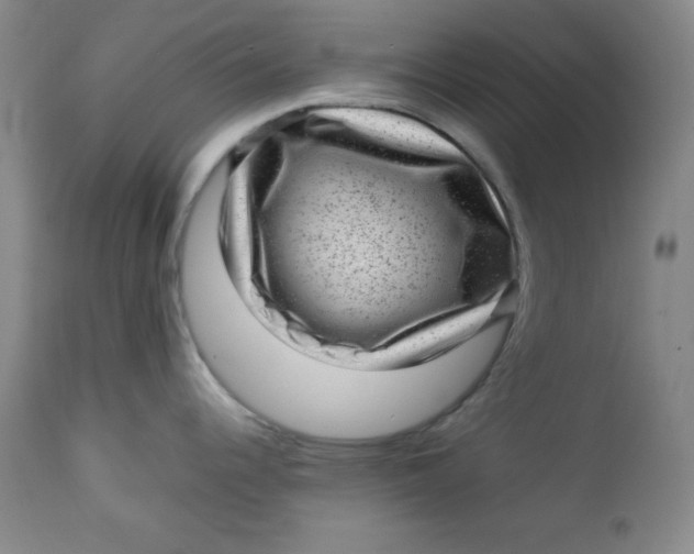 X0000112731344200909101442