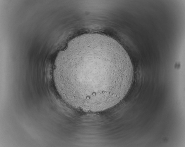 X0000112731346200909101441