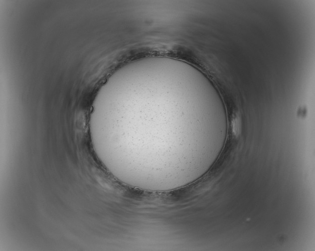 X0000112731347200909101441