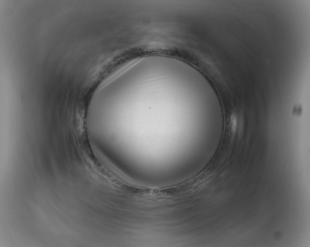 X0000112731348200909101441