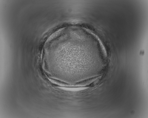 X0000112731349200909101441