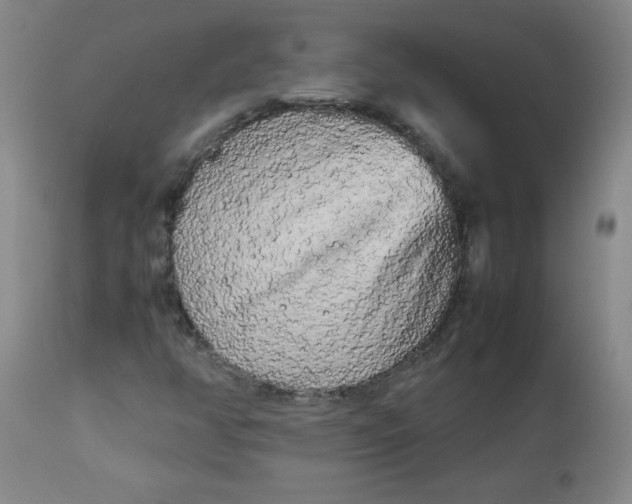 X0000112731350200909101441