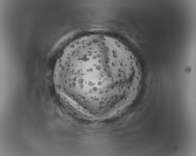 X0000112731351200909101441