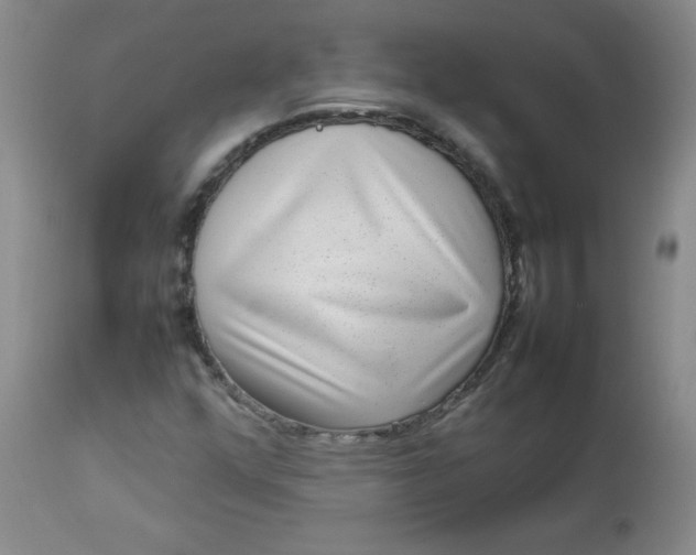 X0000112731352200909101441