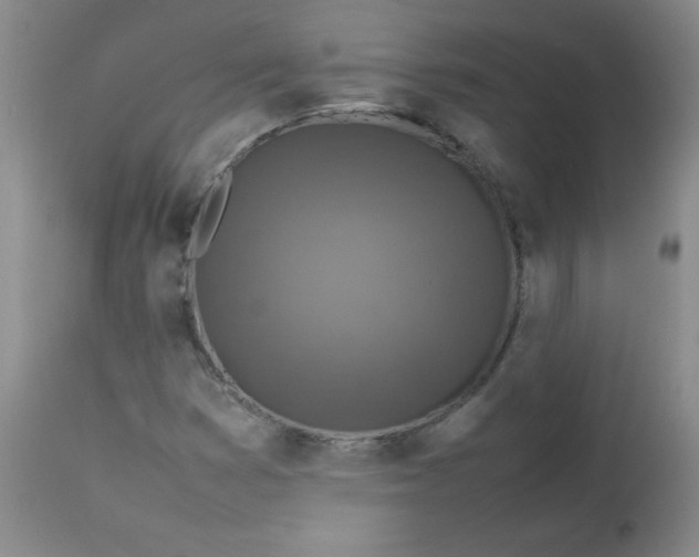 X0000112731353200909101441