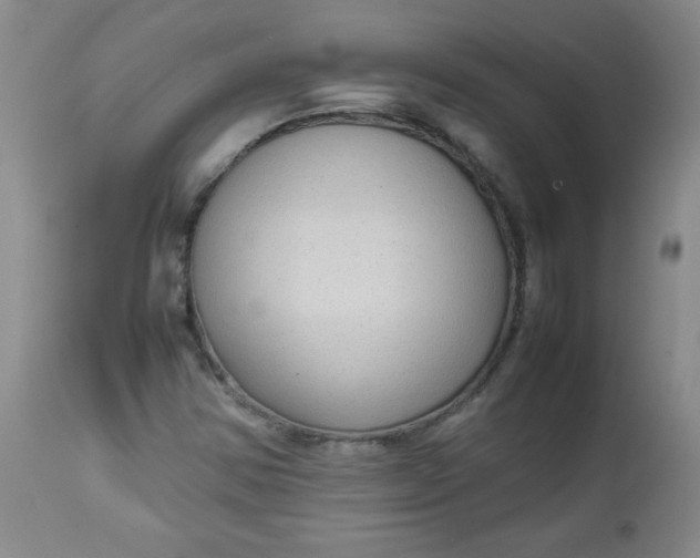 X0000112731354200909101441