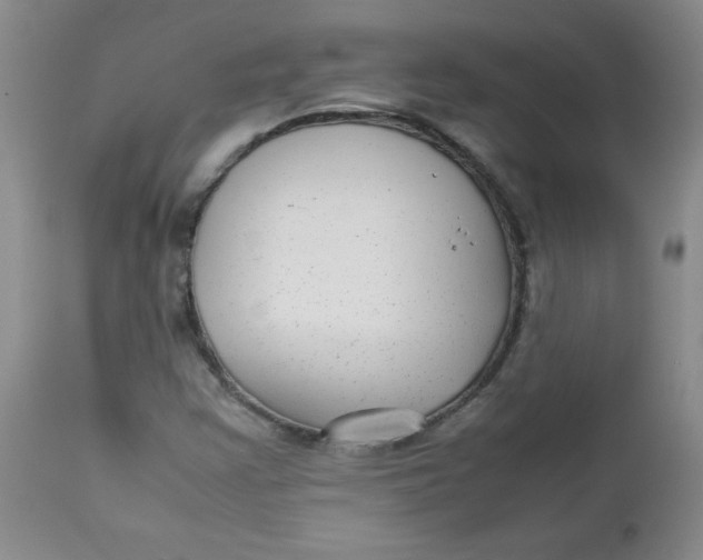 X0000112731355200909101441