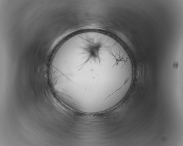 X0000112731356200909101441