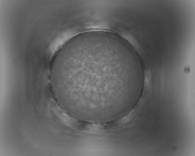 X0000112731357200909101441