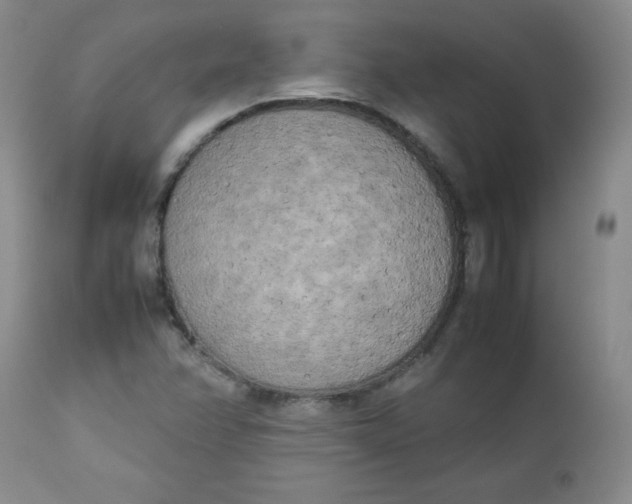 X0000112731358200909101441