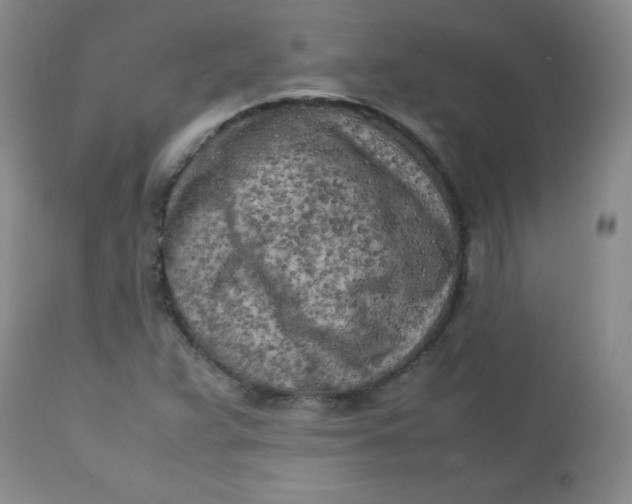 X0000112731359200909101441