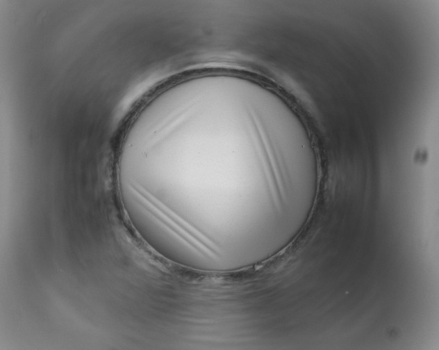 X0000112731360200909101441