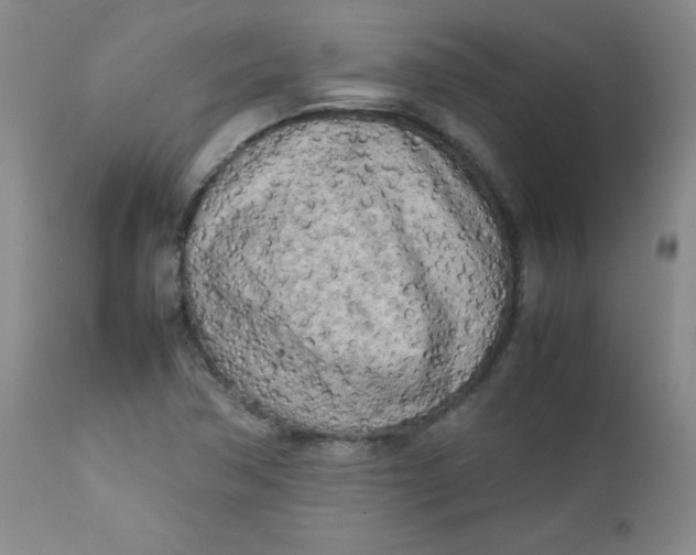 X0000112731362200909101441