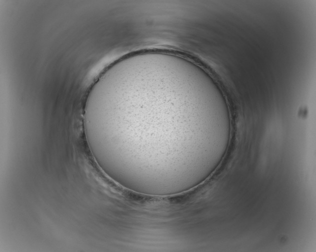 X0000112731363200909101441