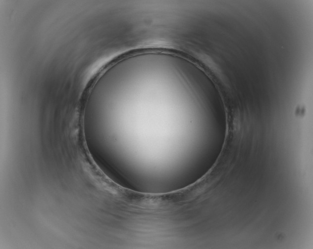 X0000112731364200909101441