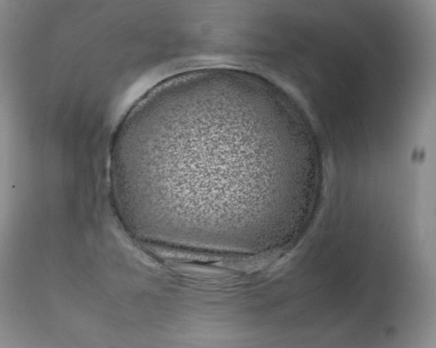 X0000112731365200909101441