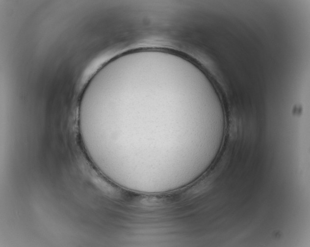 X0000112731366200909101441