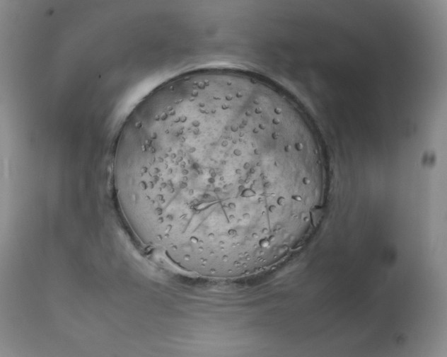 X0000112731367200909101441