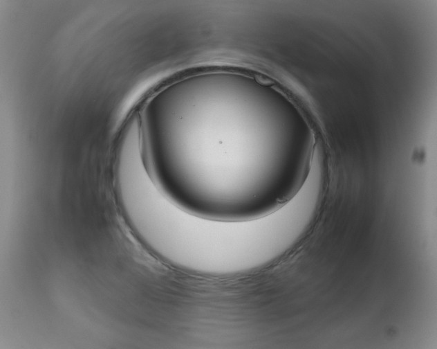 X0000112731368200909101441