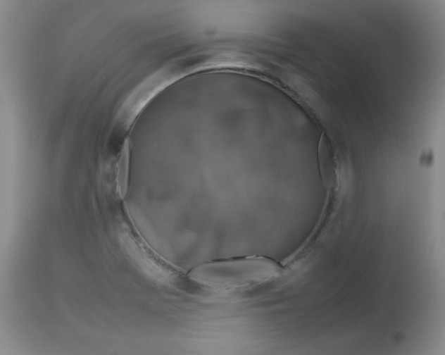 X0000112731369200909101441