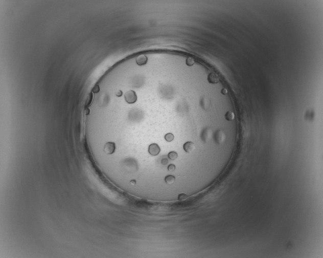 X0000112731371200909101441