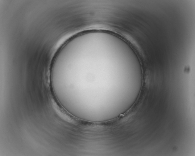 X0000112731372200909101441